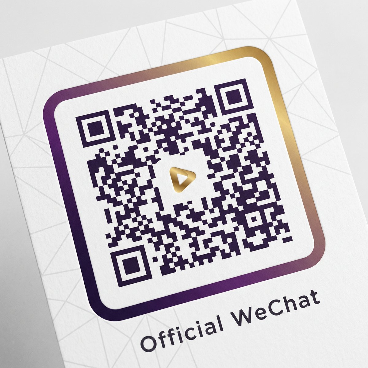 网红美女公众号二维码